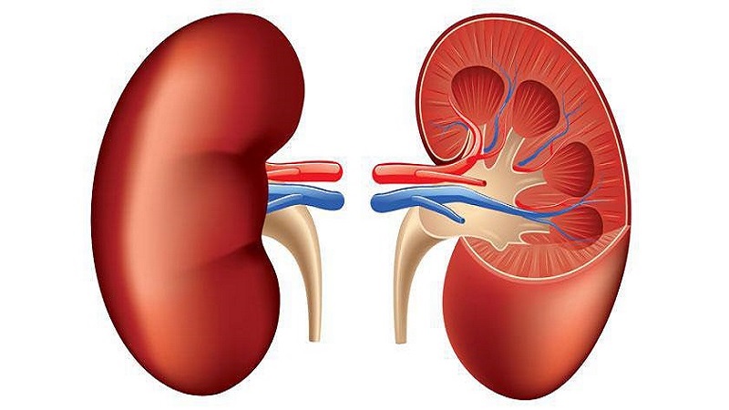 m/دوره آموزش CRRT